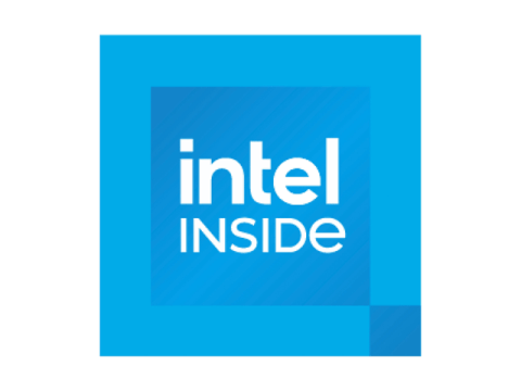 Critics Call the Government’s Stake in Intel Socialism. Are They Right?