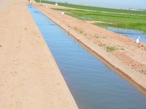 Appeals Court Upholds Agricultural Exemption in California Water Project Ruling