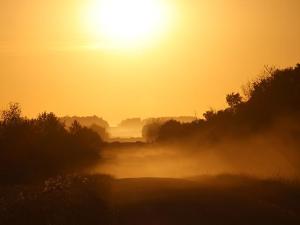 Close Calls Teach Us to Practice Farm Safety Through the Year