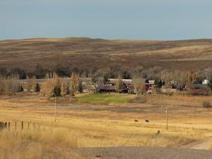 Trump Administration to Withdraw Biden-Era ‘Public Lands Rule,’ Favoring Ranchers