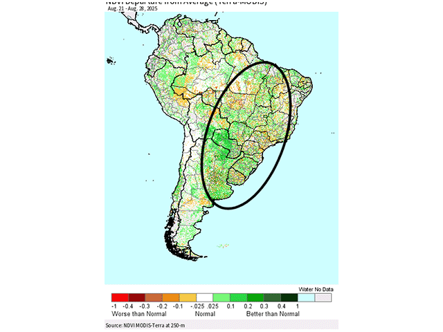 The primary row-crop areas in South America (outlined) have a long growing season, but have characteristically different weather that makes them unique. (DTN graphic)