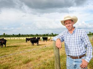 Precondition Program Keeps High-Risk Calves Healthy