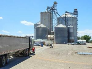 Frustrating Markets Stress Importance of a Marketing Plan