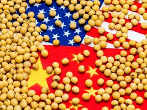 Trump-China Truce May Normalize Soybean Trade, But Not Farm Profits