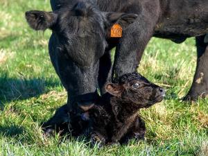 Test DEV to newsroom-cms-dev bucket after block policy – A001