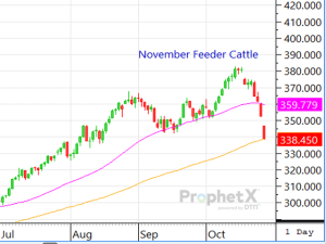 When Emotions Surpass All Other Factors in Cattle Market