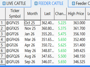 Recognizing the Effect of Wider Daily Trading Limits in Cattle Contracts