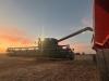 As Combines Roll, American Subsidies Loom Large