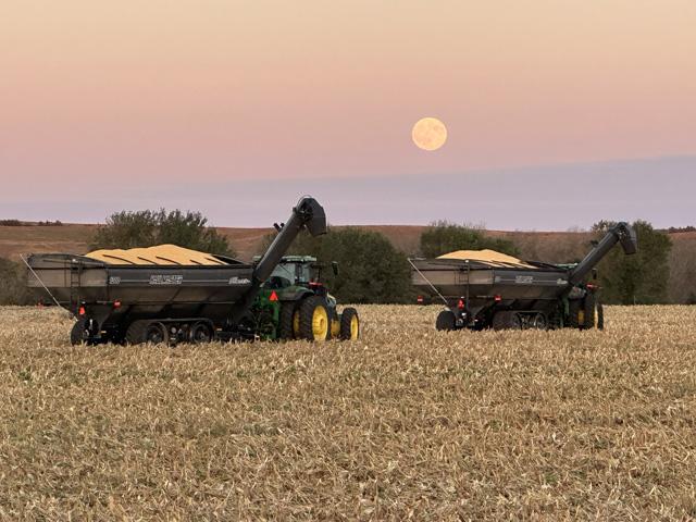 Harvest continues to roll along in central Nebraska on Zoerb Farms near Litchfield. (Photo courtesy of Ethan Zoerb)