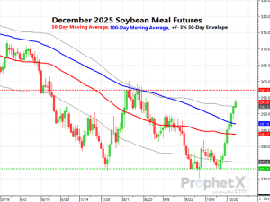 Soybean Meal Futures Erupt, But Will the Rally Last?