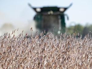 Treasury Secretary Says Substantial Support Coming for Farmers Next Week