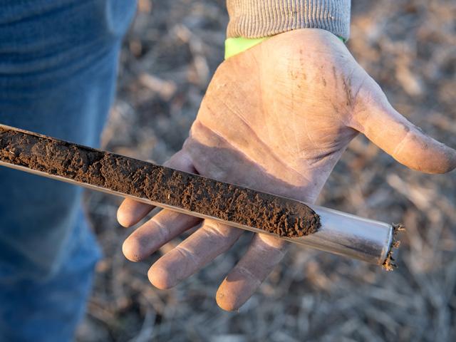 Put soil testing for soybean cyst nematode (SCN) on your fall agenda and outsmart this yield threat. (DTN photo by Jason Jenkins)