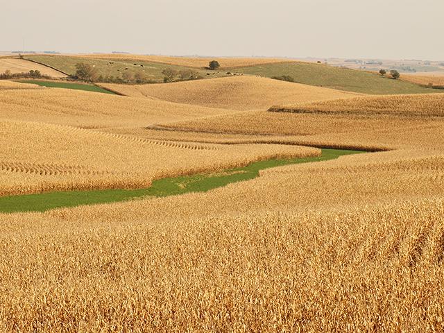 High interest rates during the last few years have made the cost of borrowing a significant burden when juggling debts for high land prices, expensive equipment and rising costs of crop inputs. (DTN file photo)