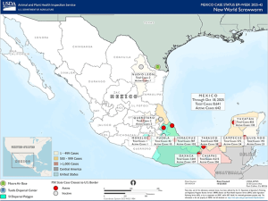 Texas Governor Issues Disaster Declaration to Prepare for New World Screwworm Risk