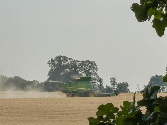 Soft red winter wheat harvest in June in Clarksville, Tennessee. U.S. Wheat Associates reported the 2025 soft red winter wheat crop, including Tennessee production, generally showed good quality with strong milling characteristics and market value, despite weather challenges that led to uneven results in some areas. (DTN photo by Mary Kennedy)