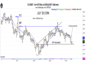 Gulke: Long-Term July Corn
