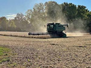 Without USDA Reports, Watch Future Spread and Basis for Crop Clues