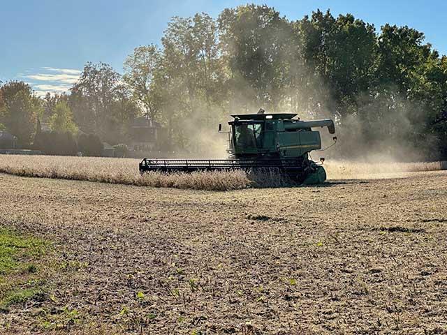Harvest continues in Ontario. With the U.S. government shutdown, we have few new USDA numbers, but futures spreads and basis give a few clues. The lower Canadian dollar is helping, too. (DTN photo courtesy of Philip Shaw)