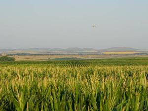 Auction to Offer 5,508 Acres of Ag, Recreational Land in South Dakota’s ‘Golden Triangle’ Region