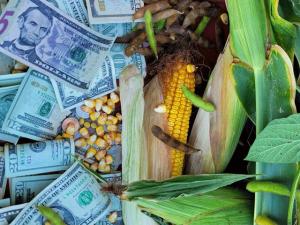 Texas Farmers Still Unpaid by Hansen-Mueller Despite Nebraska Settlement