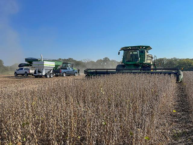 As harvest wraps up, farmers and market observers are watching the news for word of sales to China and waiting for the federal government to reopen to hear what a potential aid package may look like. (Photo courtesy of Zach Grossman)