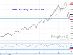 Variety of Clues Suggest the Worst Should Be Behind Cattle Markets