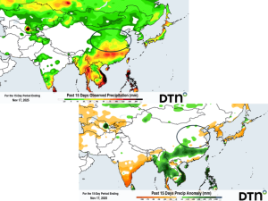 Drier Weather Pattern Helps Boost China Wheat Seeding Progress