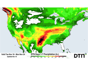 Winter Wheat Producers Look at Increased Rainfall into Next Week