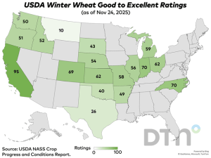 Final 2025 USDA Crop Progress: Corn 96% Harvested, Wheat Rated 48% Good to Excellent as of Nov. 23