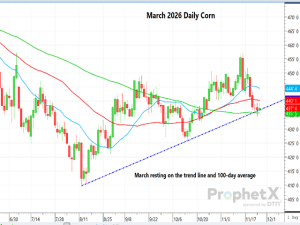March Corn at a Crossroads?