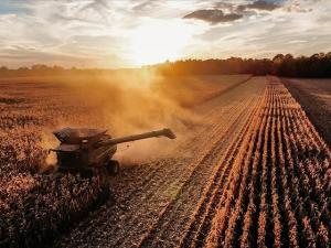 Lessons From the Buggy Seat During Harvest Season