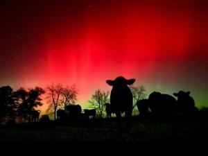 Geomagnetic Solar Storm Reaches G4 Levels Again Wednesday