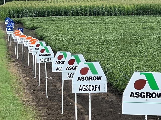 More seed companies are offering soybean varieties with alternate sources of SCN resistance. It's important to learn what resistance is within the soybean to manage the pest. (DTN photo by Pamela Smith)