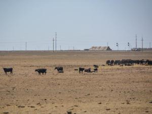 Texas Prepares for Growing Disasters as EPA Ignores the Risk