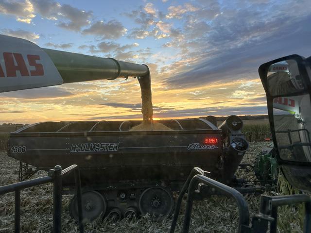 View From the Cab farmers Ethan Zoerb and Stuart Sanderson have finished harvest and their season of reporting in as part of DTN's project. It's time to look forward to 2026. (DTN photo courtesy of Ethan Zoerb)