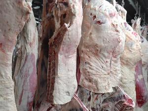 Tyson Announcement Cuts 4,700 Jobs Amid Historic Cattle Shortage