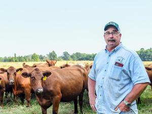 Replacement Heifer Dilemma: Buy or Raise Them Yourself?