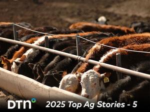 Cattle Industry Experiences Historical Prices, Herd Numbers and Volatility