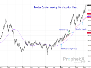 Blog About Beef Prices and Size of Cattle Herd Stands Out for Analyst