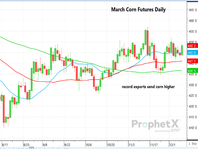 This is the daily chart for March 2026 corn, showing the reaction to better-than-expected corn exports and the resulting cut in ending stocks in Tuesday's WASDE report. (DTN ProphetX chart)