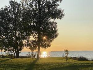 My Christmas Wish for All is the Gift of Perspective