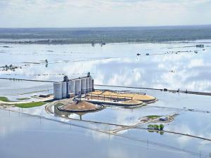 New Crop Insurance Rule Ends Prevented Planting Buy-Up, But Aids Beginning Farmers