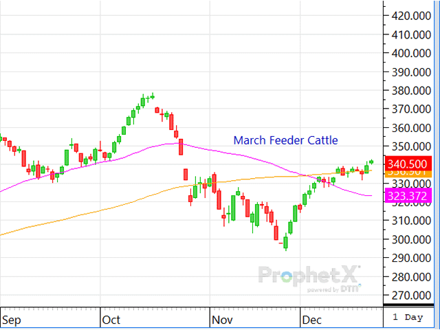 The Christmas holiday may be looming, but traders actively worked to push both the live cattle and feeder cattle contracts higher through Monday's close. (DTN ProphetX chart)