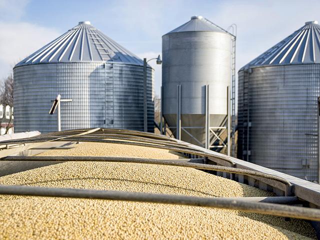 Determine your price and time action points based on your operation's cost of production and cash-flow needs. (Photo by Michael Westhoff, Getty Images)