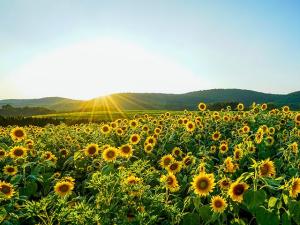 Set Your Farm Up for Long-Term Success