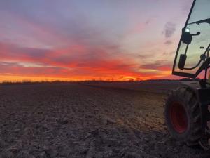 The Quiet Discipline Within 2026 Grain Marketing
