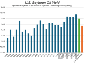 Low Soybean Oil Yield for 2025 Deserves Our Attention