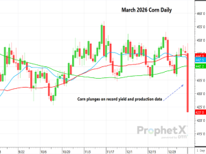 Shocking New Records in Yield and Production Pummel Corn Futures