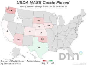 Jan. 1 Cattle on Feed Down 3% From Year Ago, Marketings Up 2%
