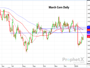 Technically Speaking Blog: Spot Corn Futures and the Challenge That It Faces